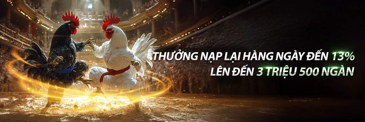 Đá Gà V8Club 2026: Nền Tảng Cá Cược Uy Tín Nhất Việt Nam